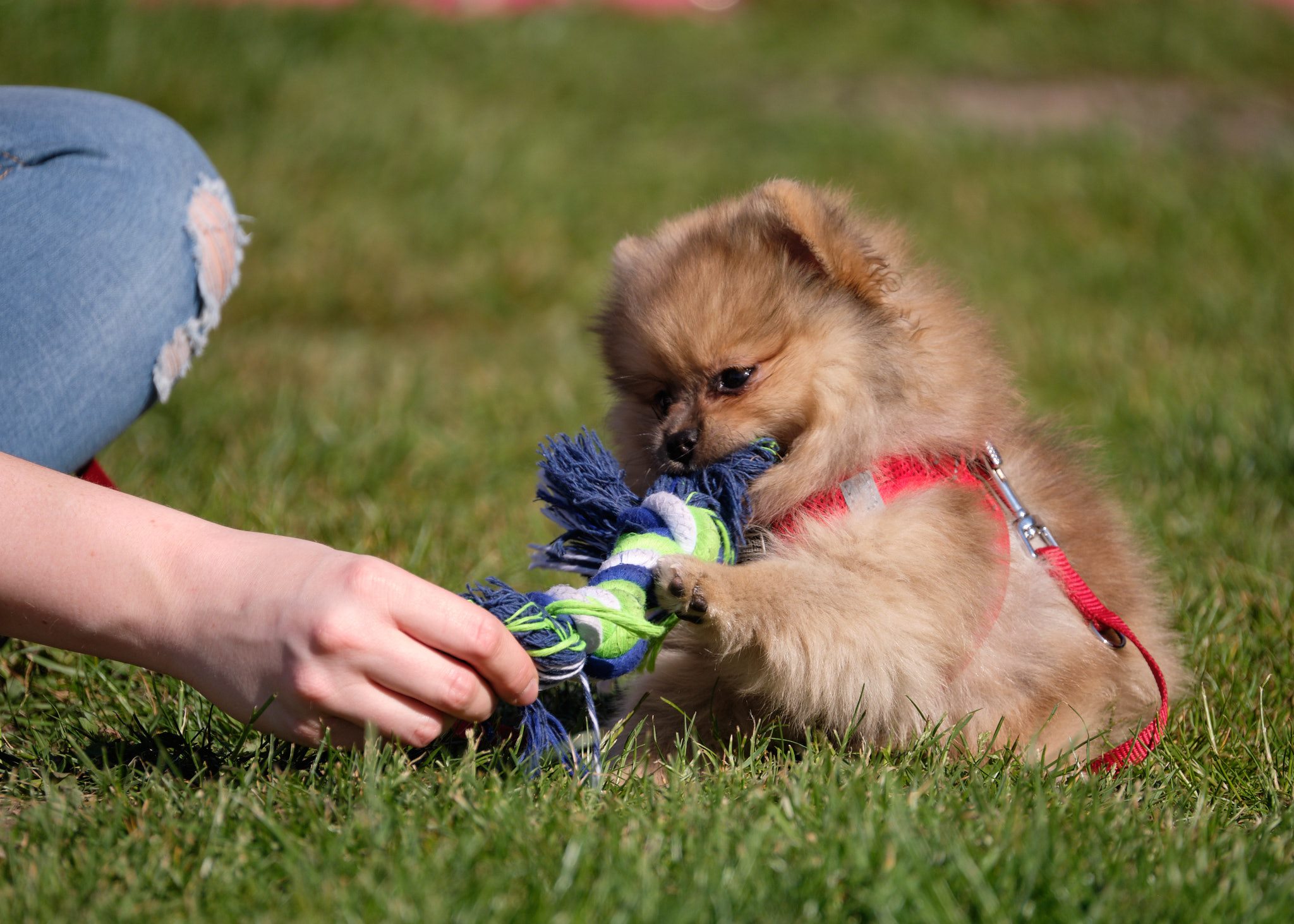 101038979_562557721365595_5519202128351985664_n 101038979_562557721365595_5519202128351985664_n