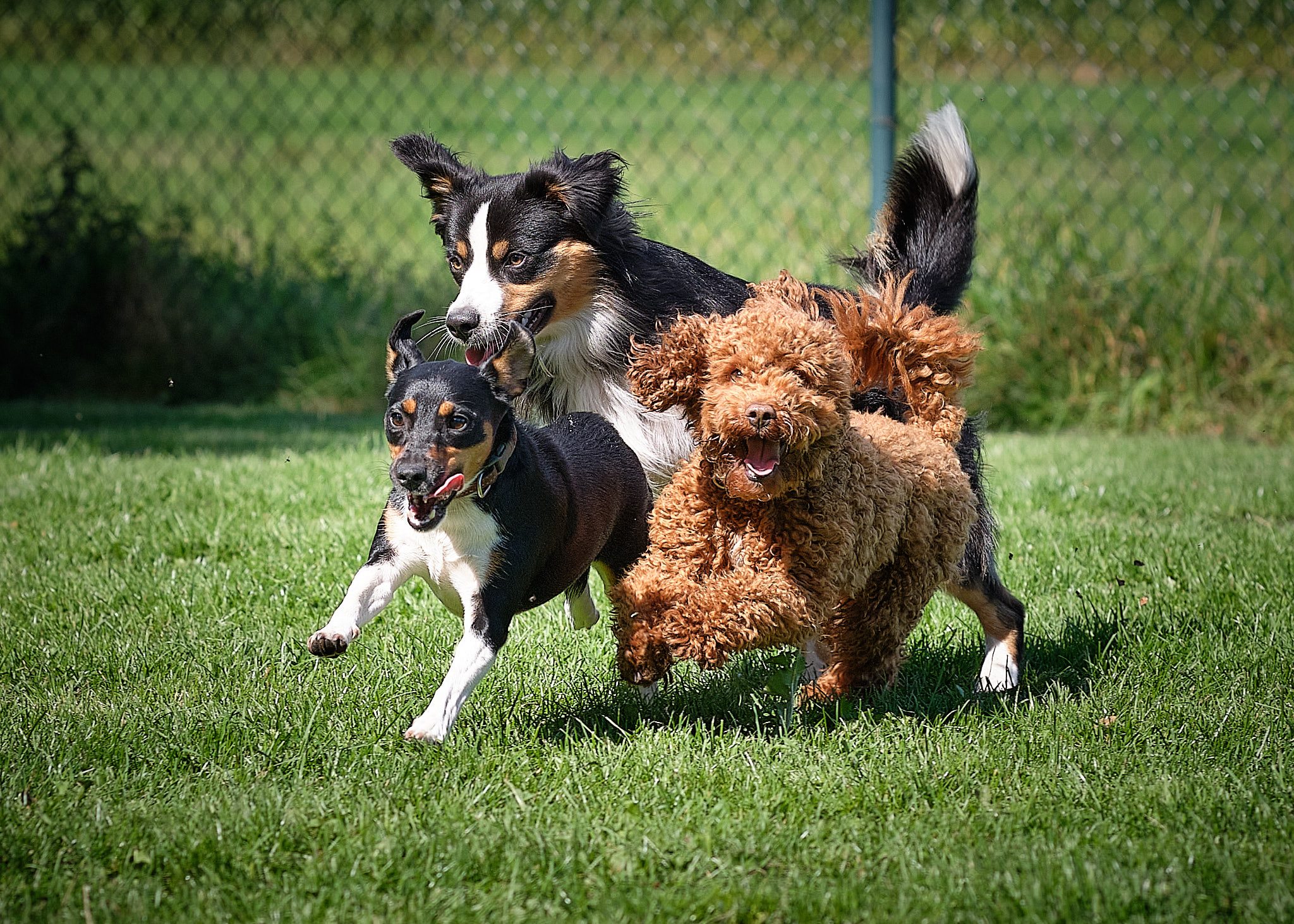 118691480_2705393113014226_5171407833962694817_n 118691480_2705393113014226_5171407833962694817_n