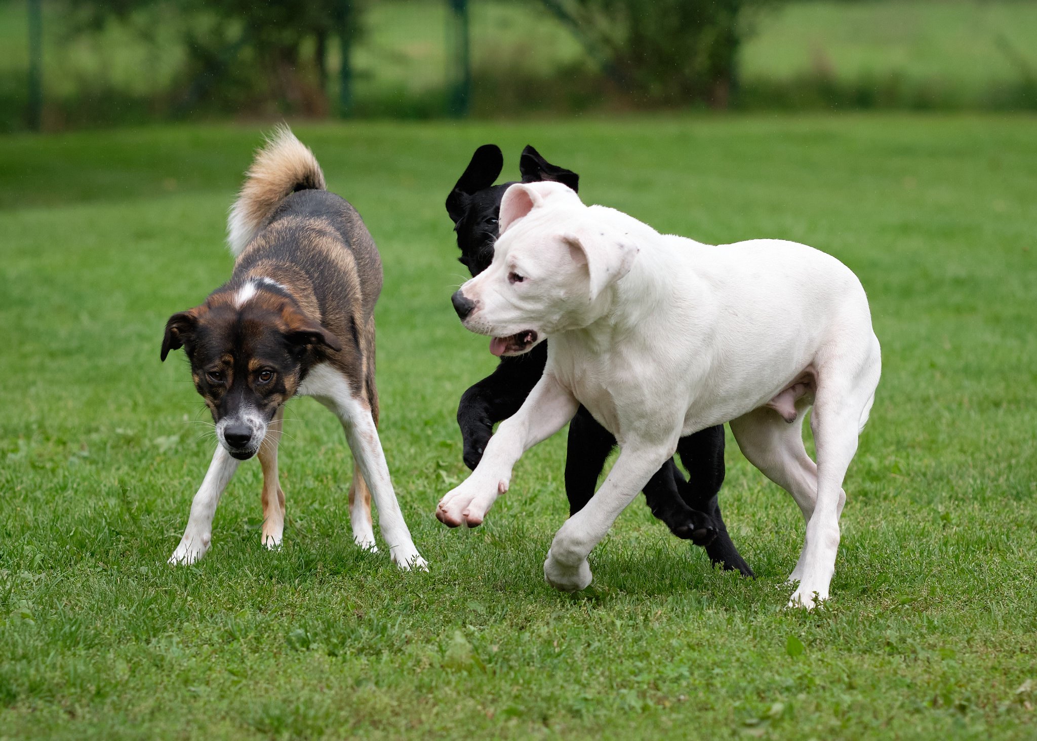 119060012_375835390246086_442705418212481104_n 119060012_375835390246086_442705418212481104_n