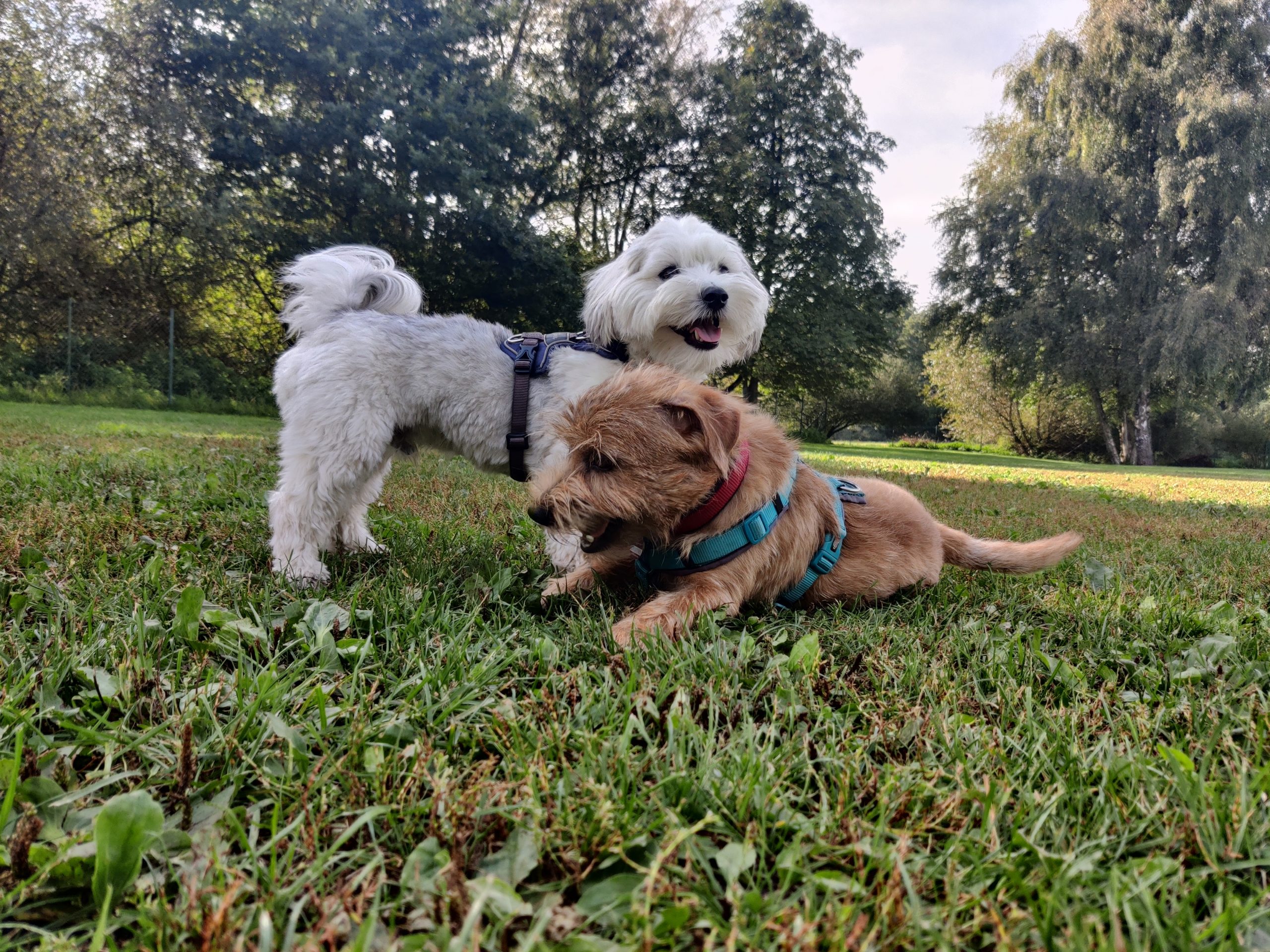 IMG_20230926_140953 IMG_20230926_140953