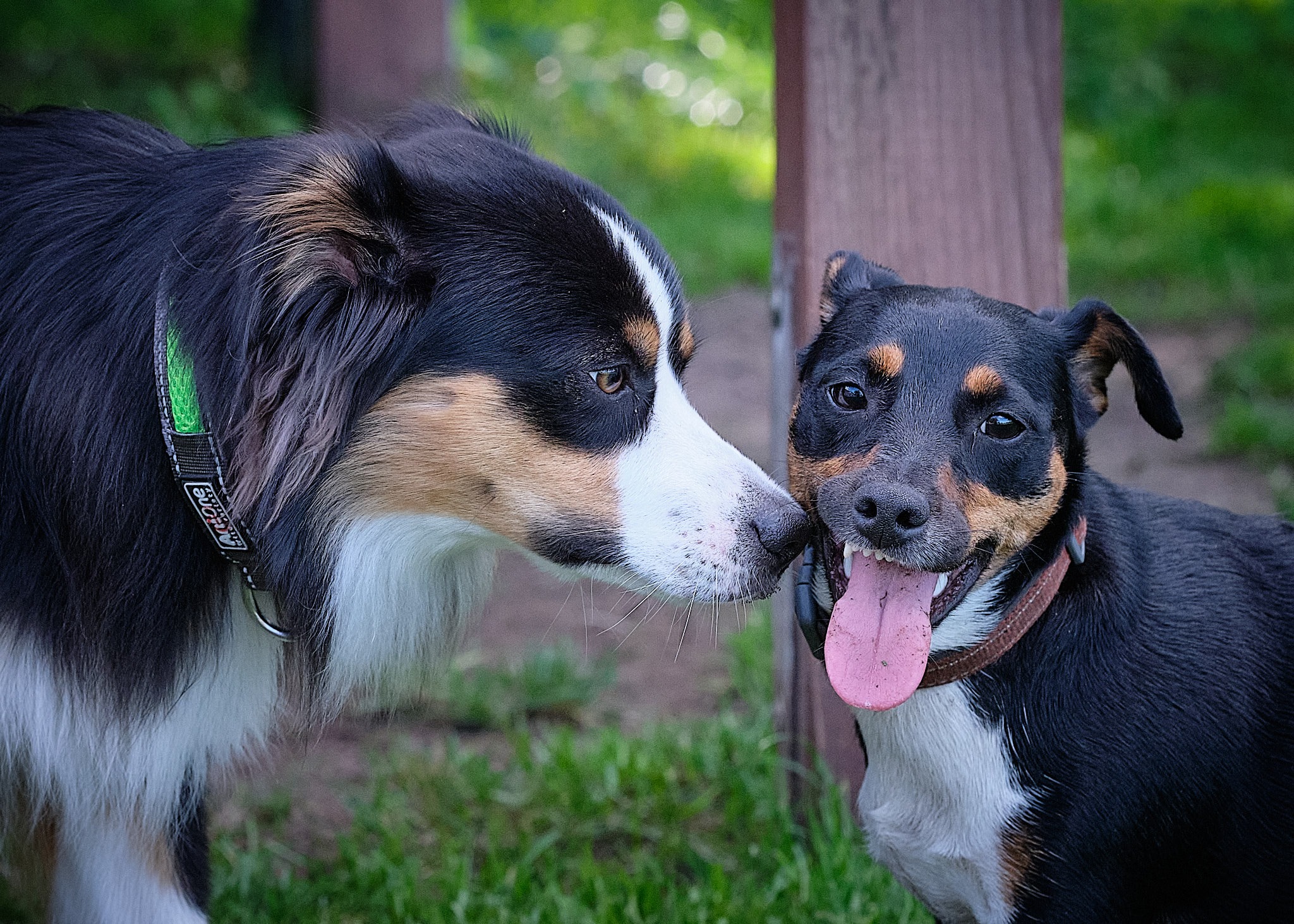 118620797_342343526888599_2222102343508486132_n 118620797_342343526888599_2222102343508486132_n