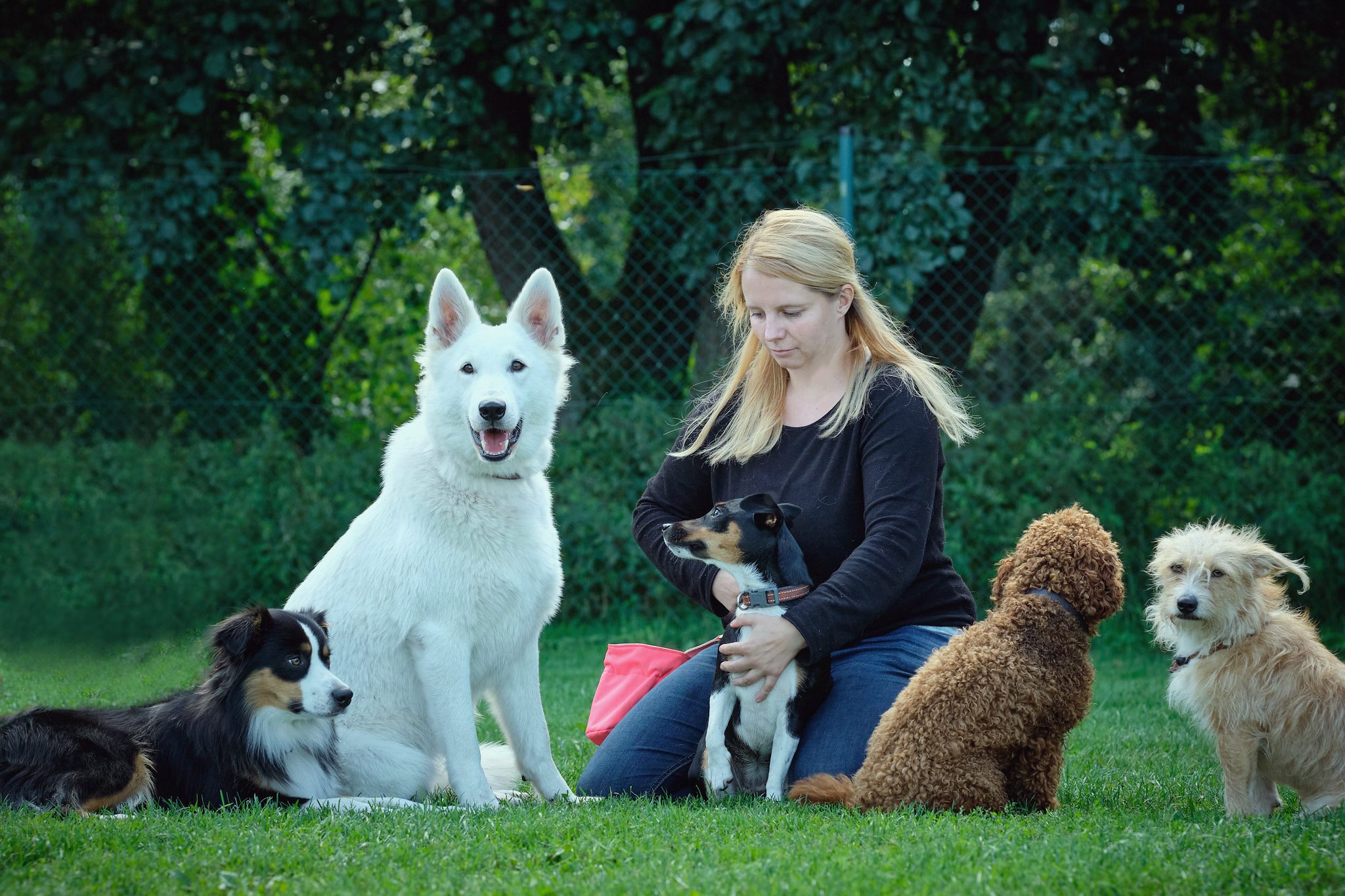 118773458_1439566539574101_9083709439595319382_n 118773458_1439566539574101_9083709439595319382_n