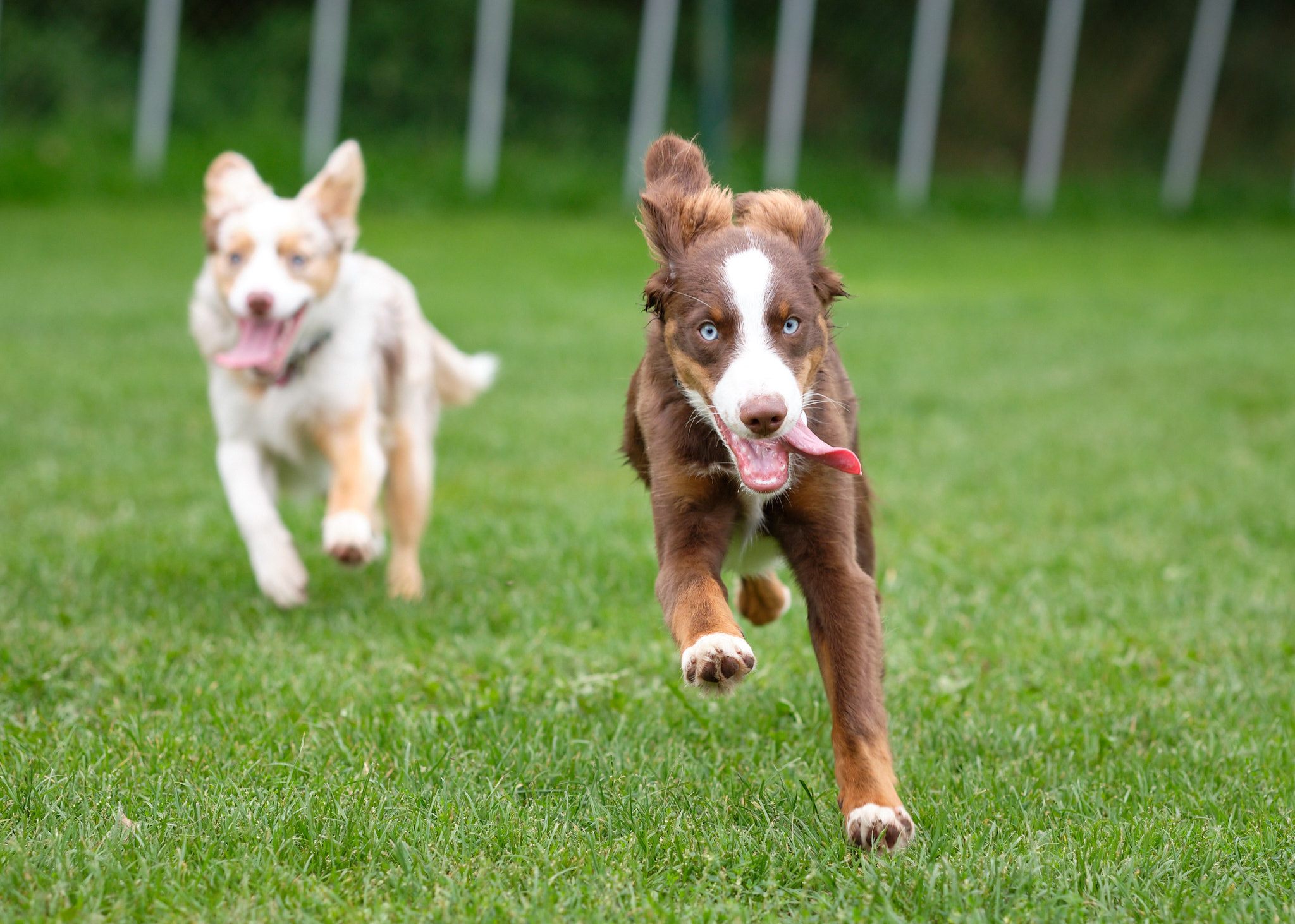 119004021_636477090610249_895243968769780417_n 119004021_636477090610249_895243968769780417_n