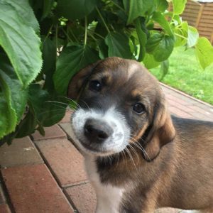 57536336_418814758929651_6297055894324641792_n 57536336_418814758929651_6297055894324641792_n