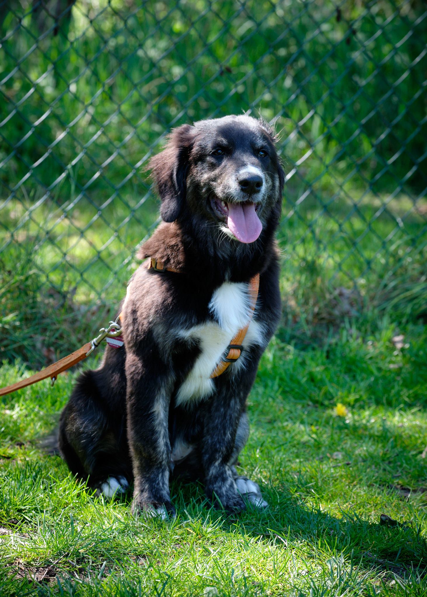 96395742_2891687774278533_4085193615725297664_n 96395742_2891687774278533_4085193615725297664_n