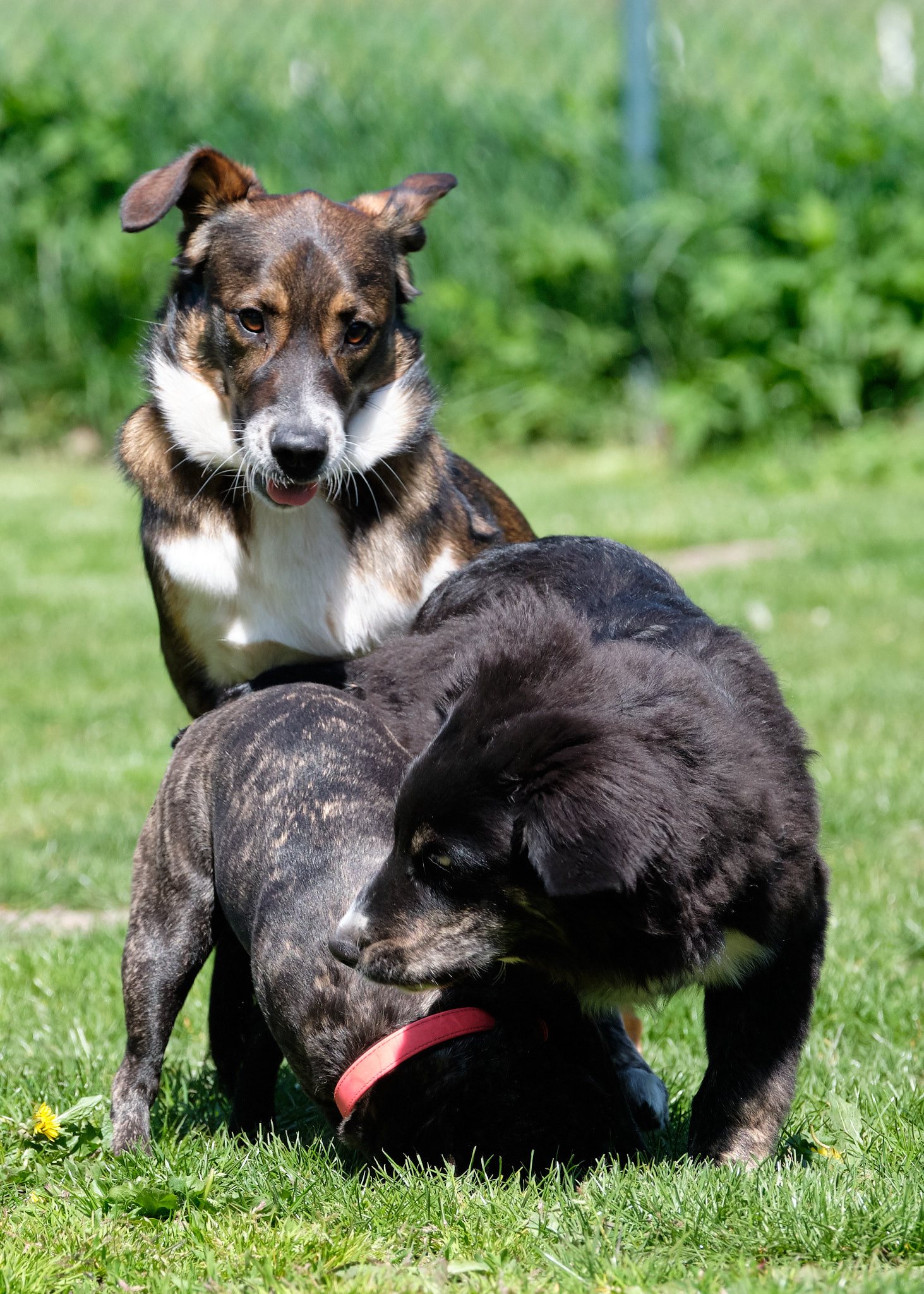 96407256_595820447690132_8965459877795201024_n 96407256_595820447690132_8965459877795201024_n