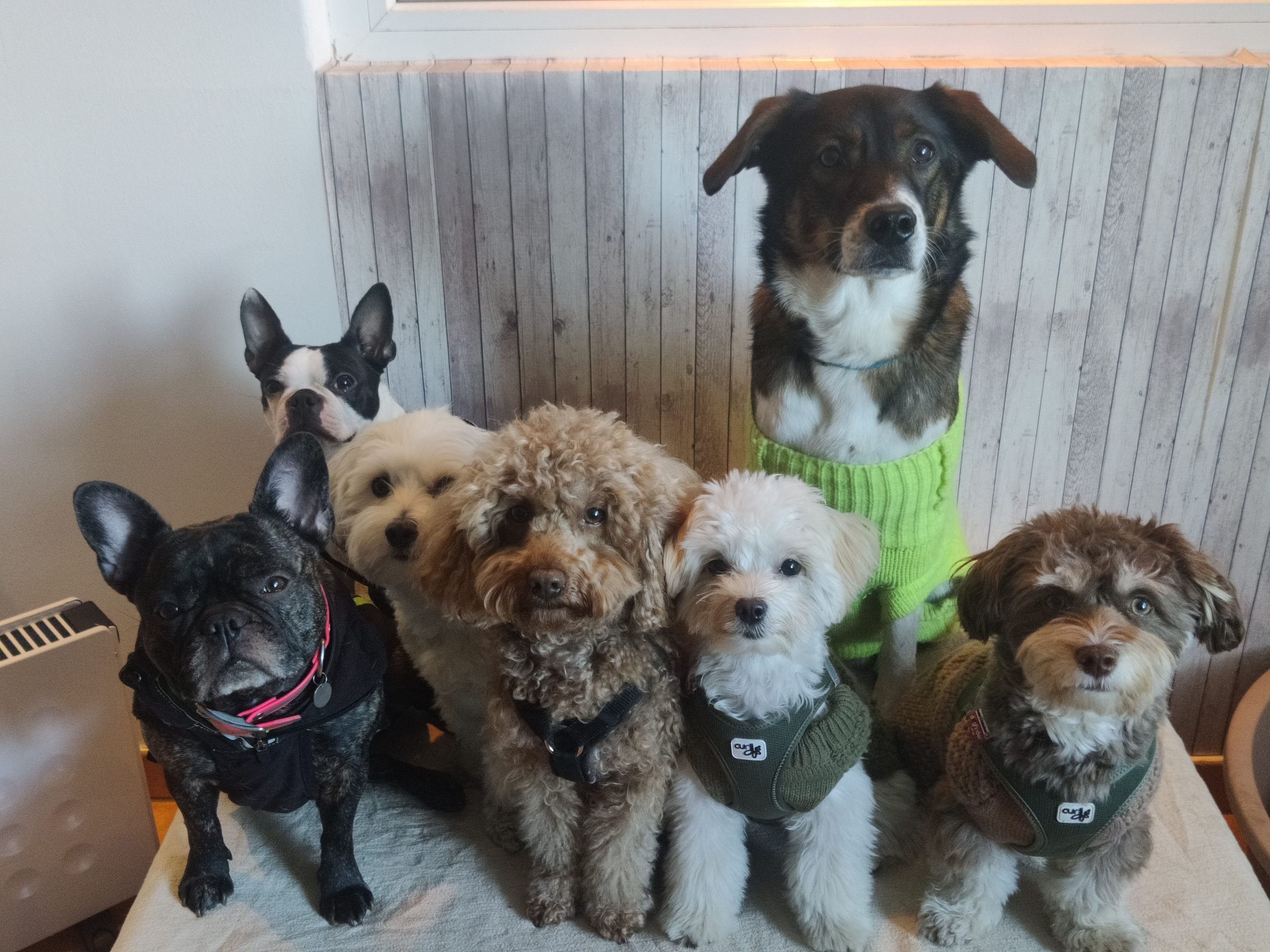 IMG_20240109_144728 IMG_20240109_144728