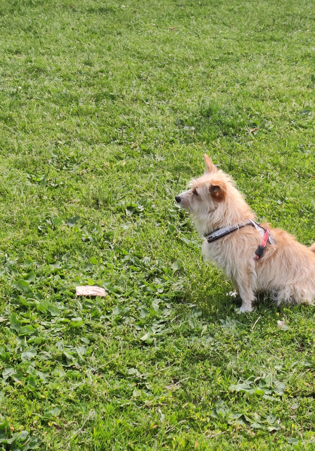 IMG_20230630_191246 IMG_20230630_191246