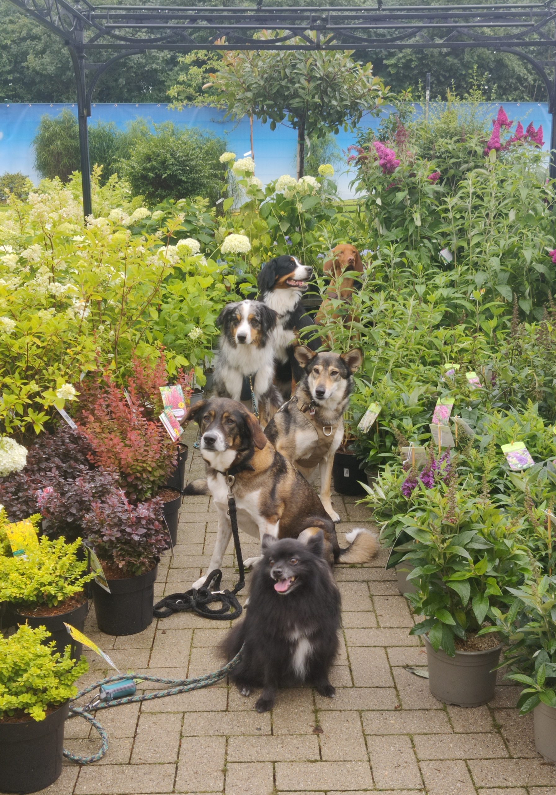 IMG_20230701_133634 IMG_20230701_133634