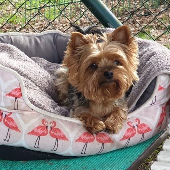 ff5b619d-0321-416c-a289-915e5dcd4444